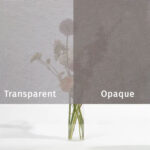 squid oak folija za staklo